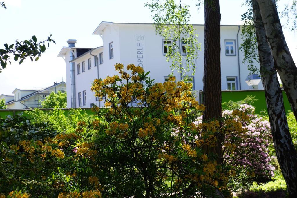 Hotel Waldperle غرال موريتز المظهر الخارجي الصورة