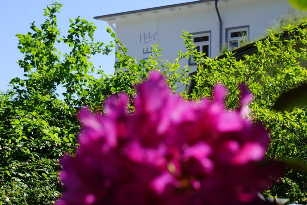 Hotel Waldperle غرال موريتز المظهر الخارجي الصورة
